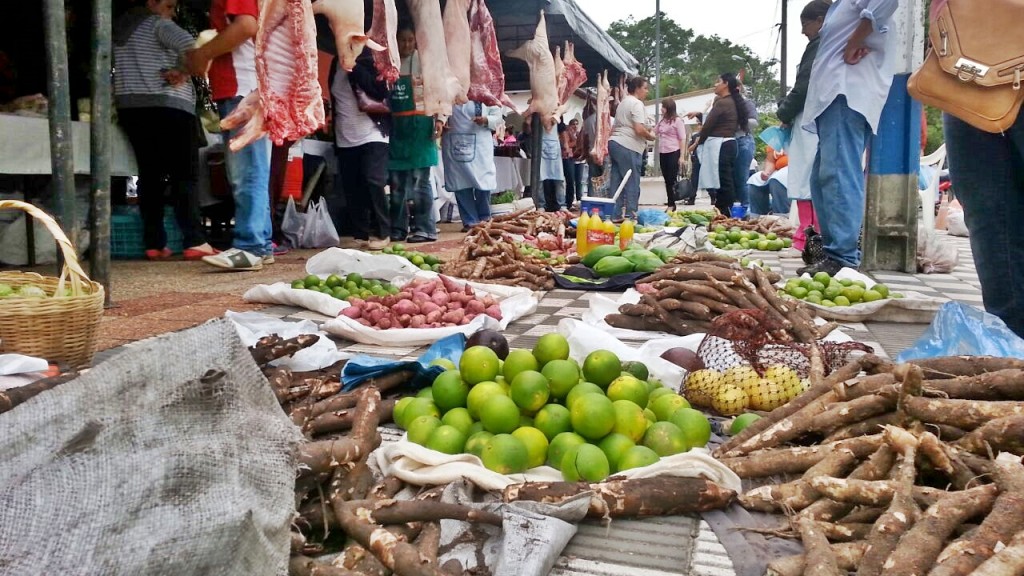 2da. Feria Agropecuaria de Pequeños Productores del Ñeembucú 2016